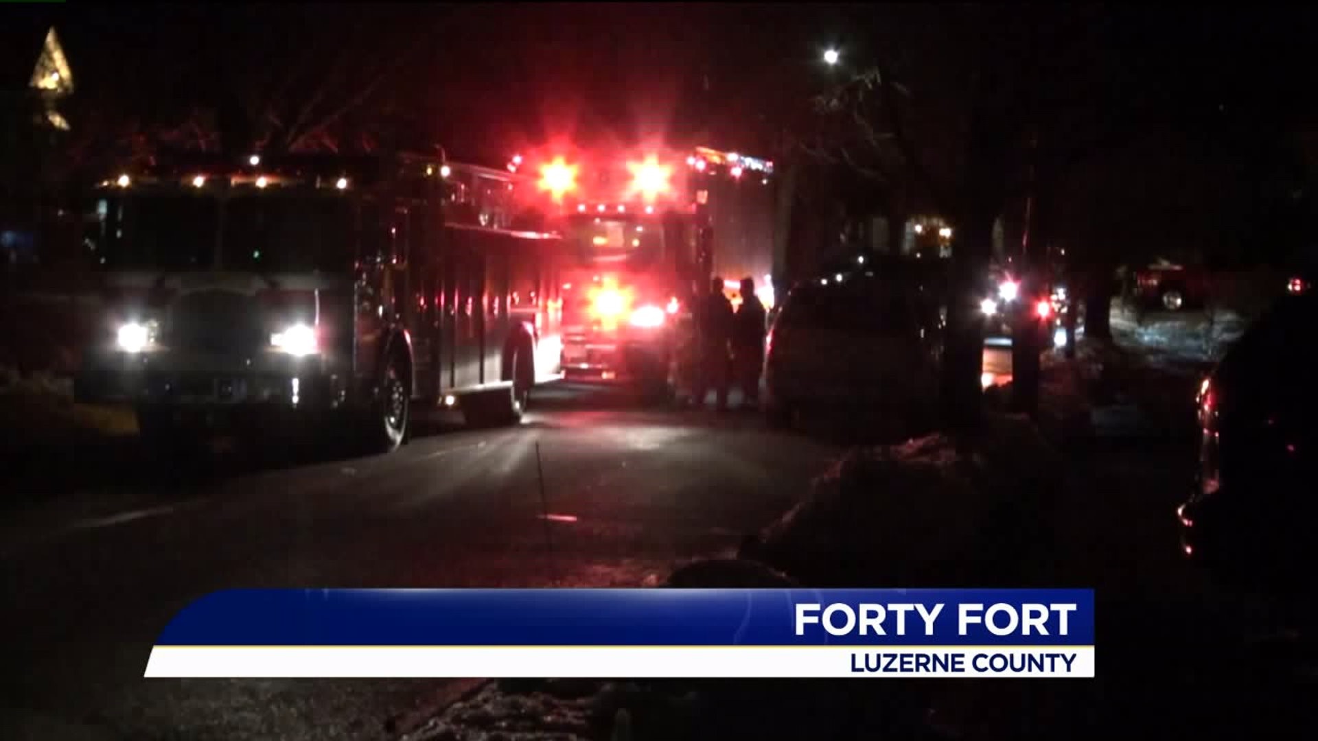 Two Dogs Rescued from Sinkhole in Luzerne County | wnep.com