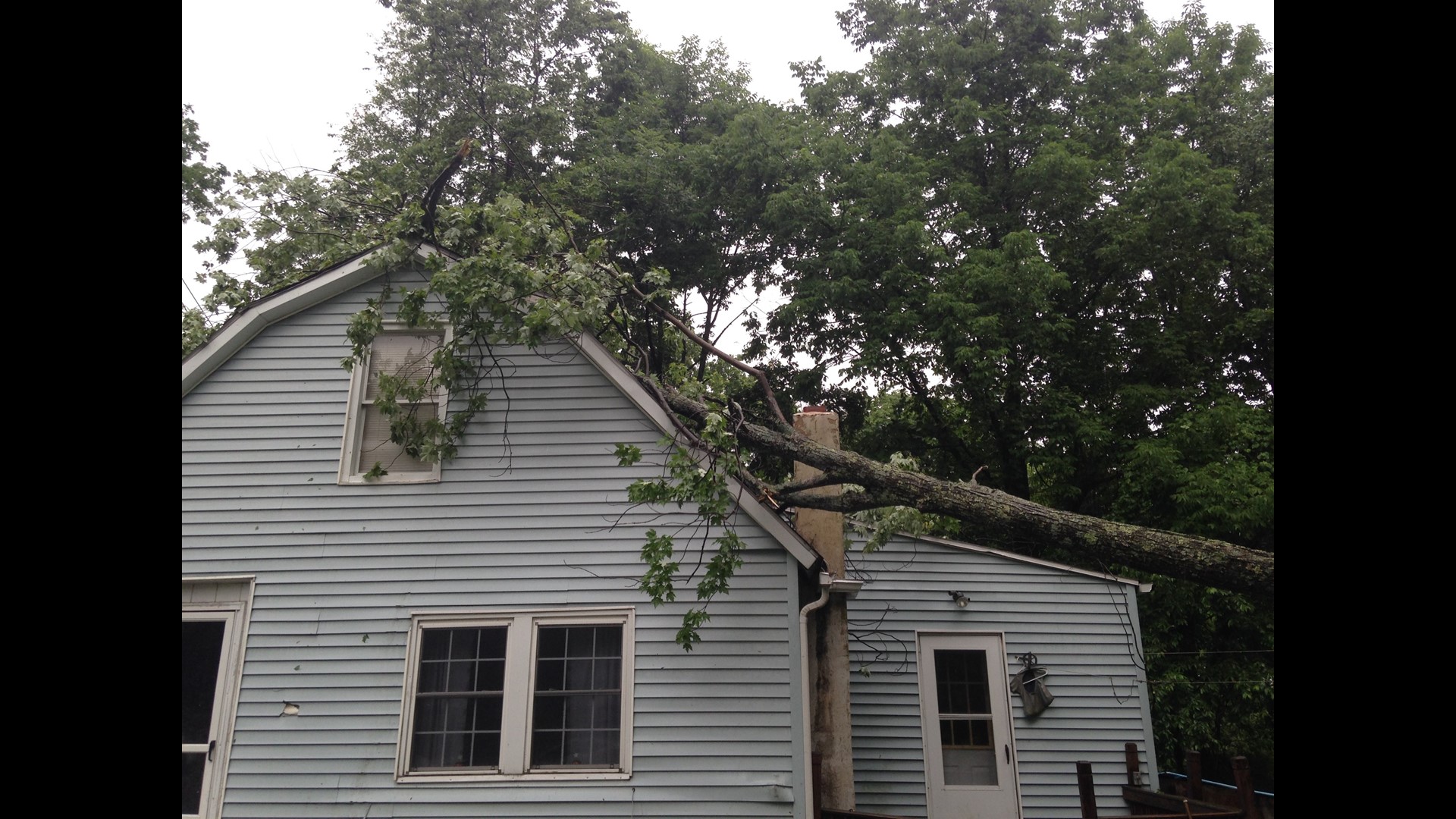 Toppled Tree Traps Couple inside Home | wnep.com