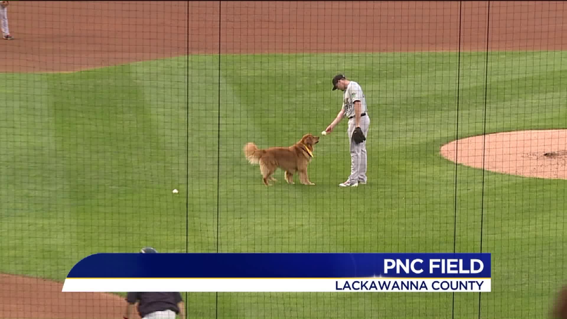 Game of `Fetch` at PNC Field