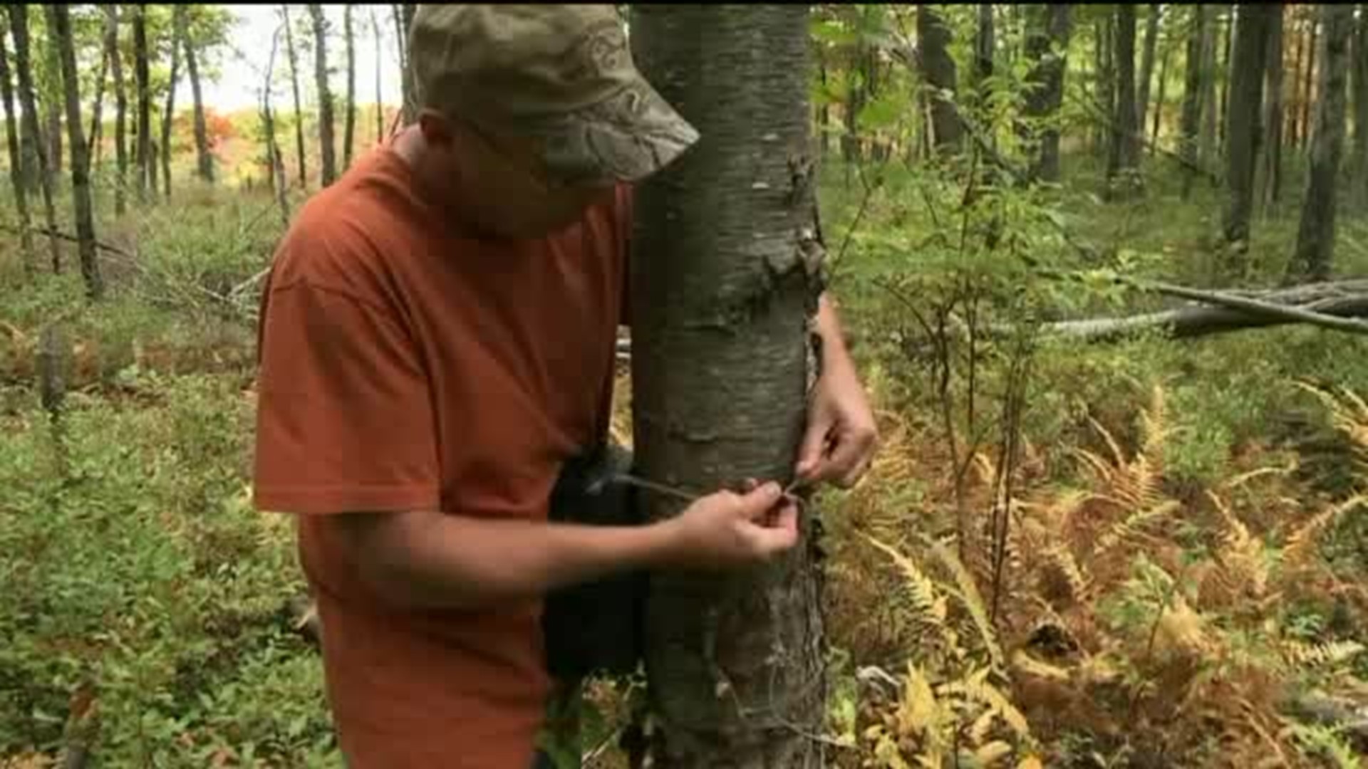 Game Commission Bans Hunting in Frein Search Area