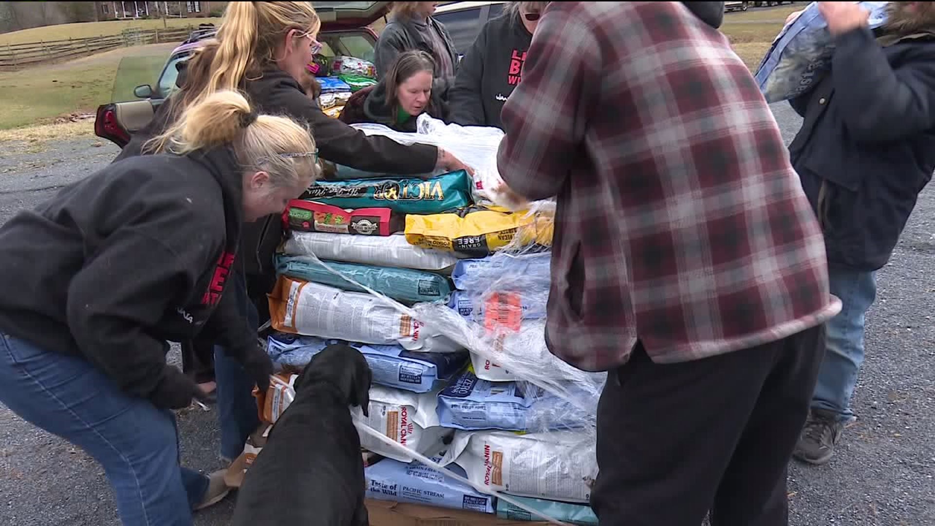 'It's Christmas!' Animal Shelters Receive Large Donation