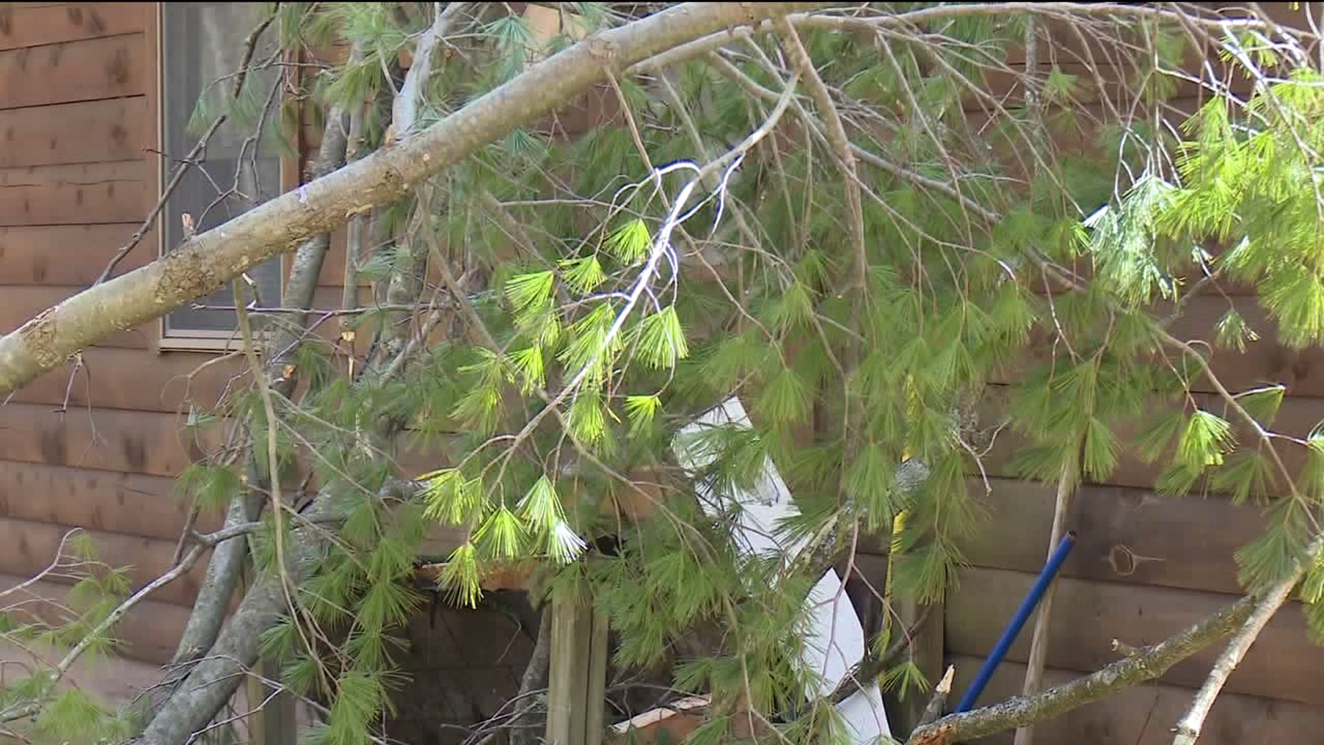 Storm Damage, Power Problems after Windy Wednesday