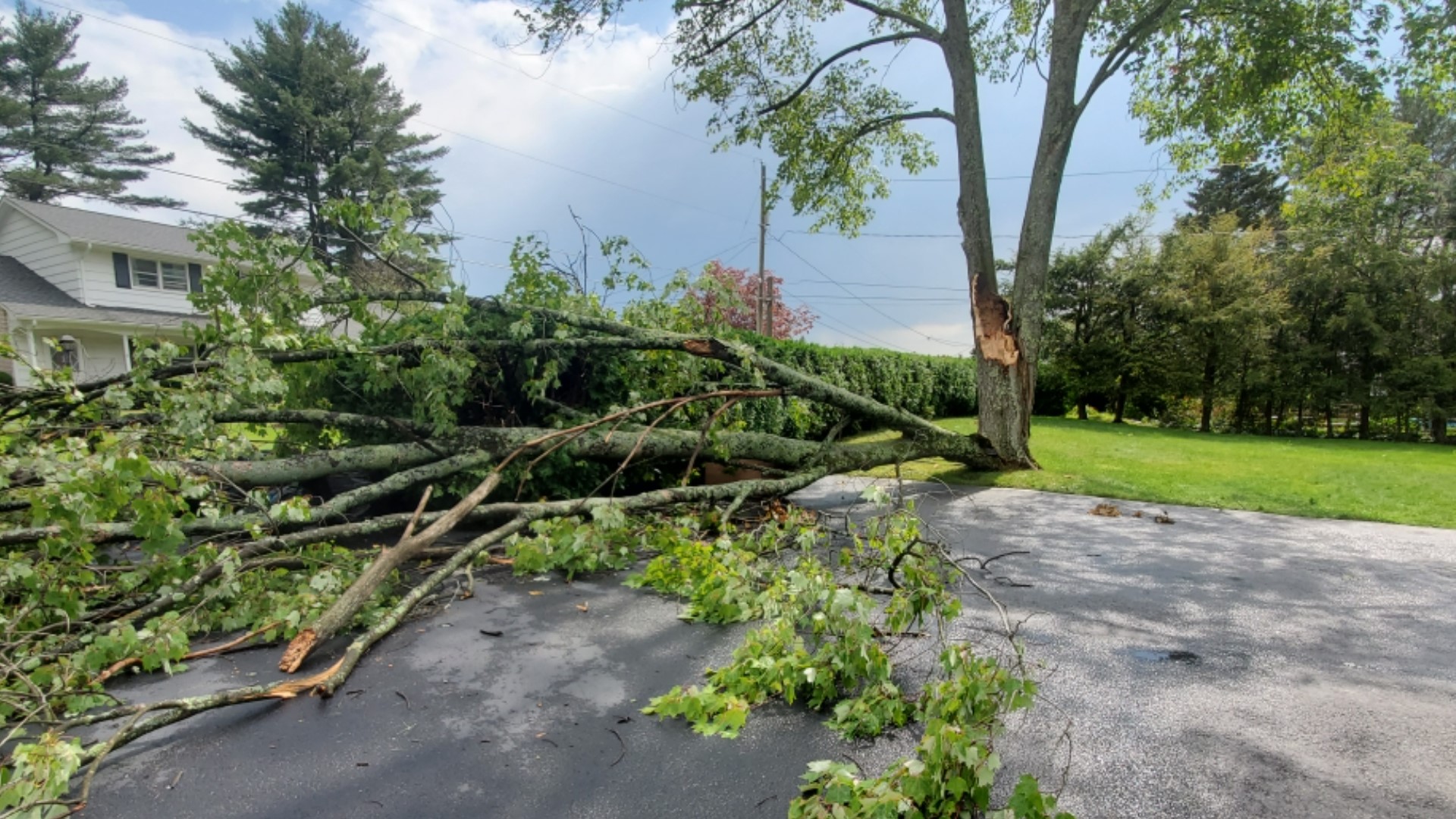 A line of storms did some damage in our area Thursday afternoon.