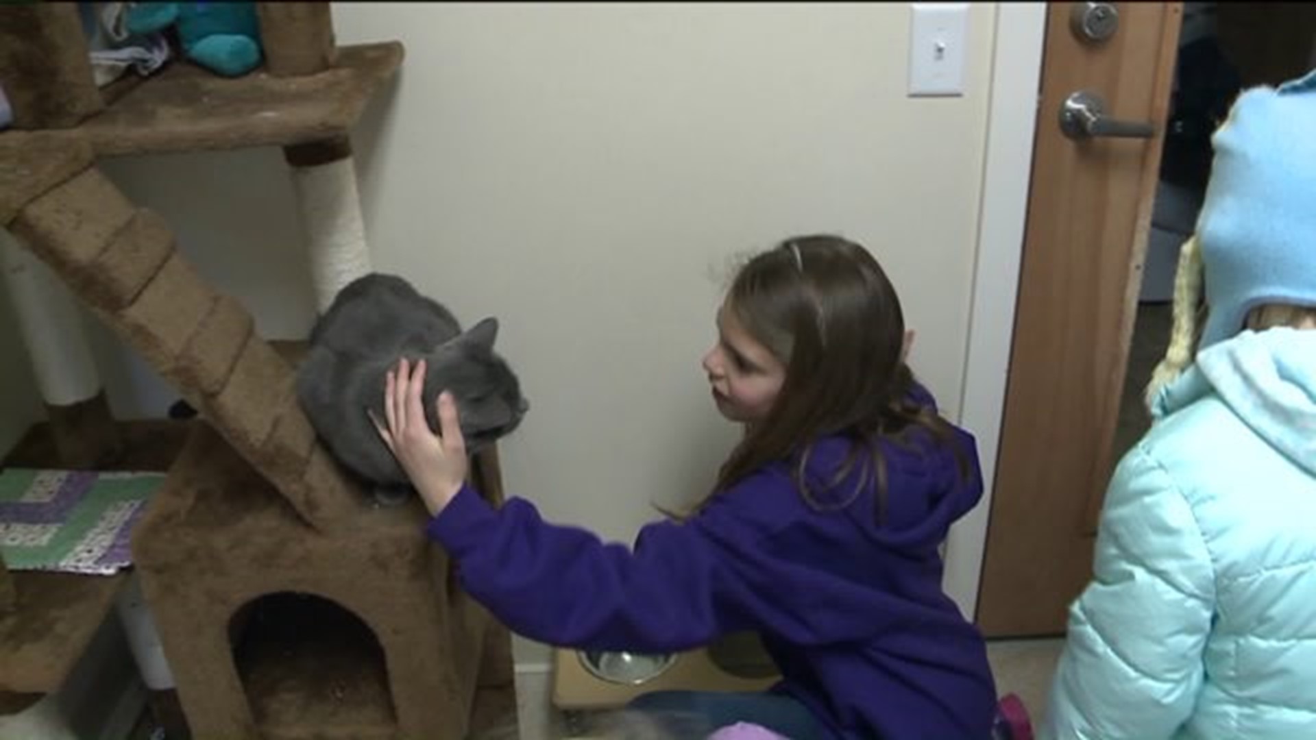 Young Girl`s Birthday Wish Is to Help Shelter Pets
