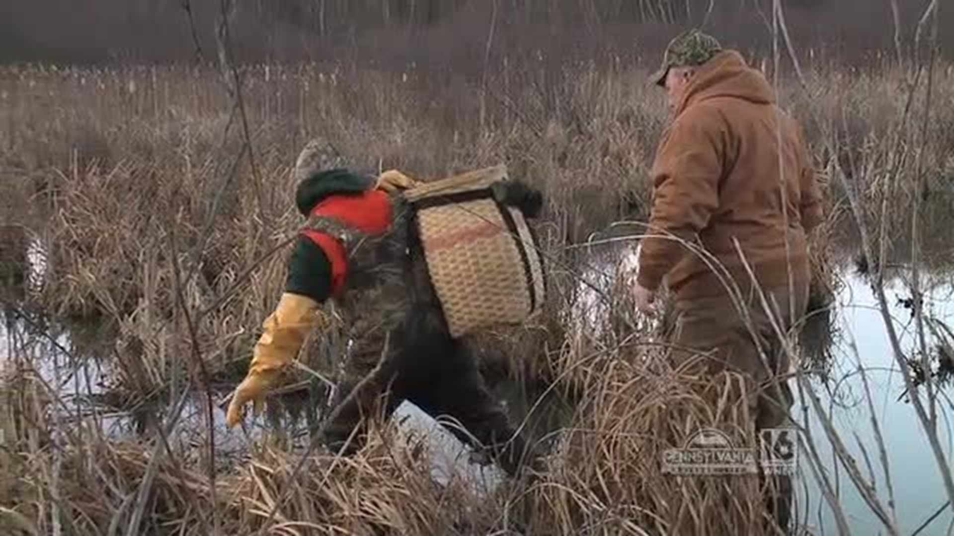 River Otter Trapping | wnep.com