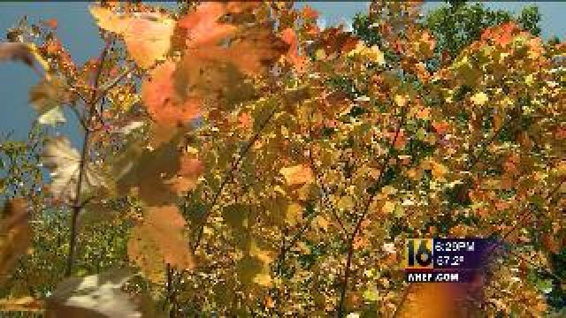 Autumn on the Pennsylvania Road