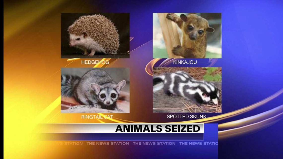 Exotic Animals Seized from Home After Raid | wnep.com