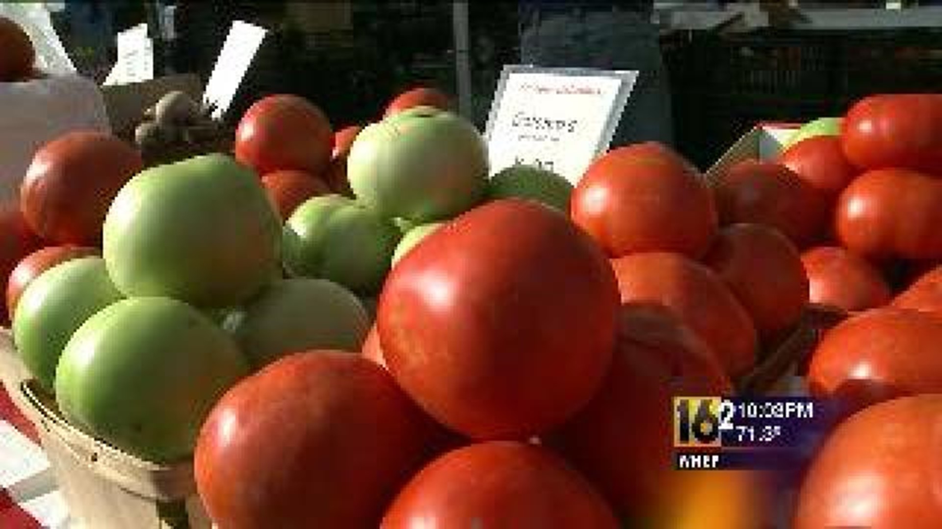 Pittston Tomato Festival Kicks Off