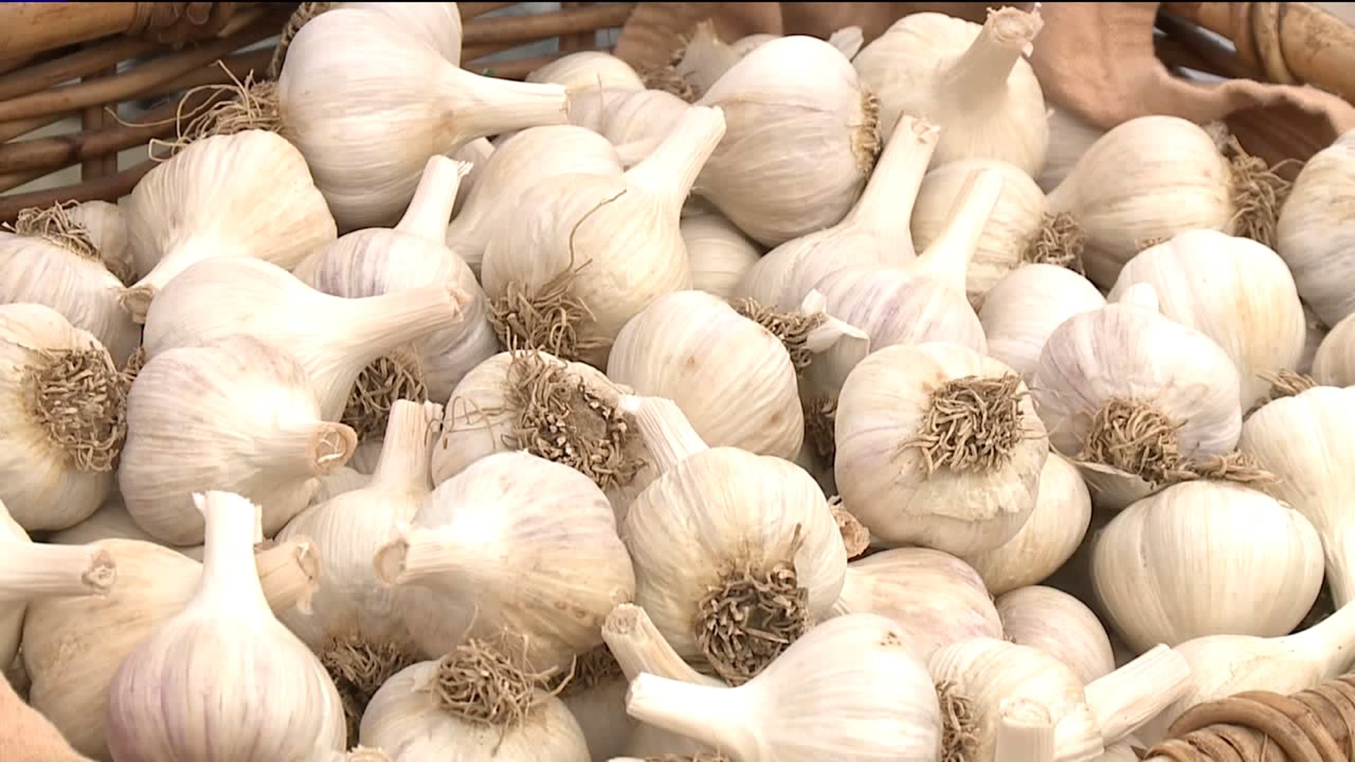 Celebrating Garlic in the Poconos