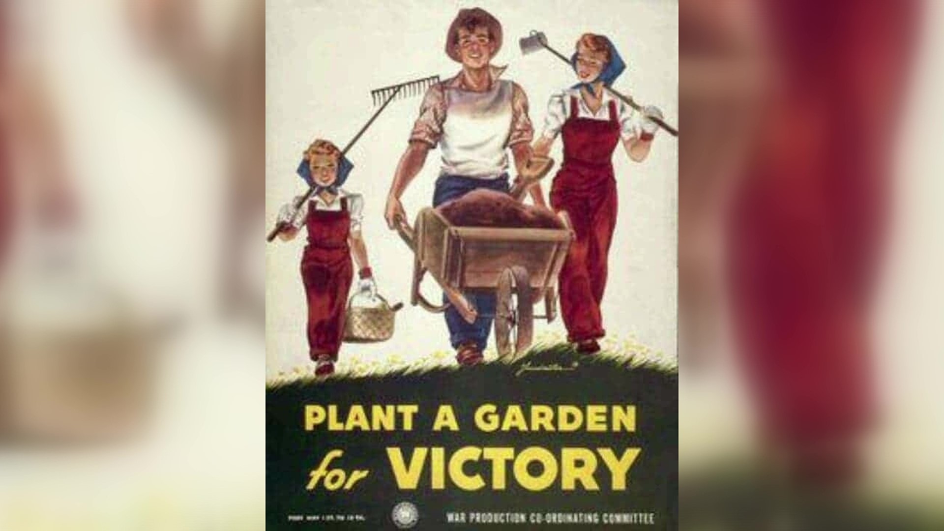 Planting A Victory Garden To Feed Your Family Wnep Com