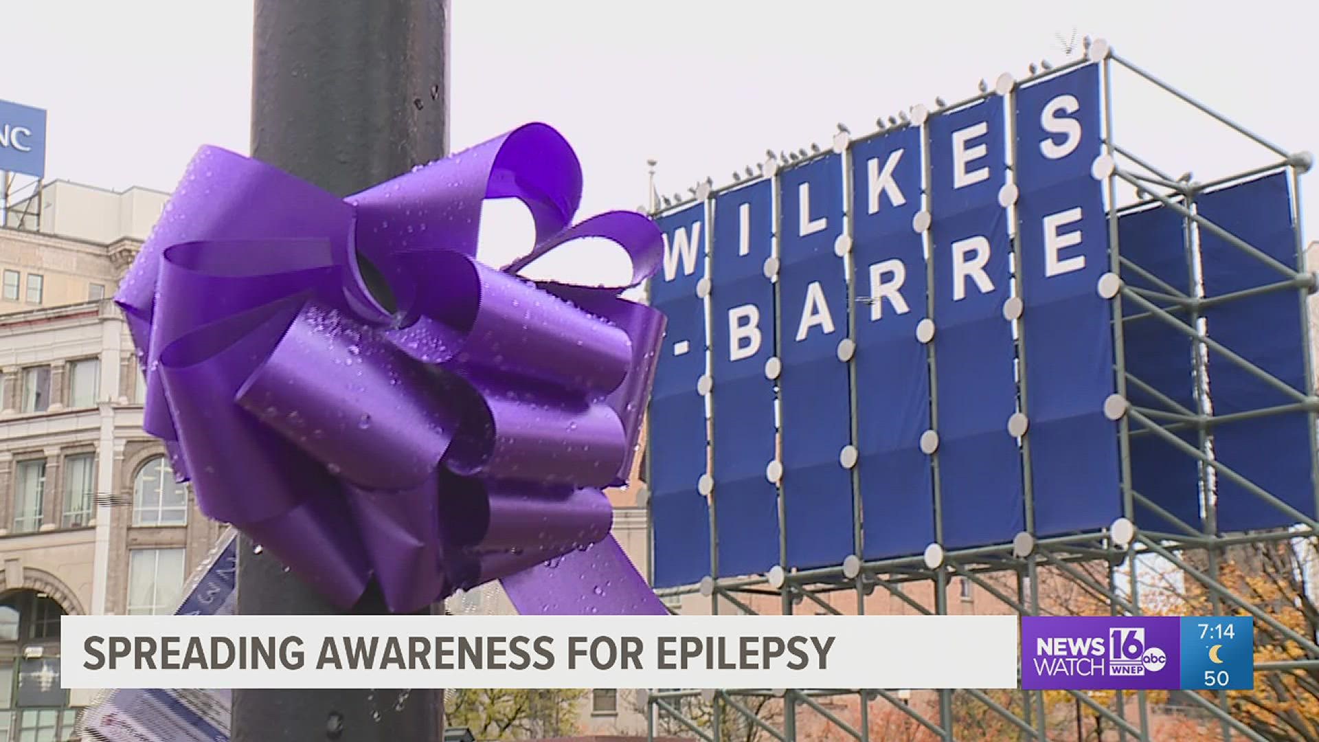 November is National Epilepsy Awareness Month.