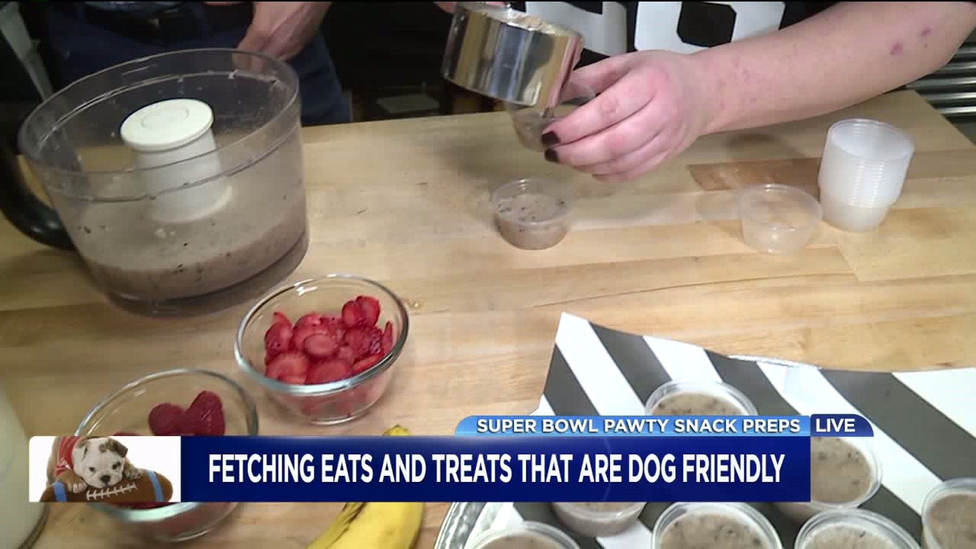 Super Bowl Pawty Snack Preps: Treats Your Dog Will Be Mutts About
