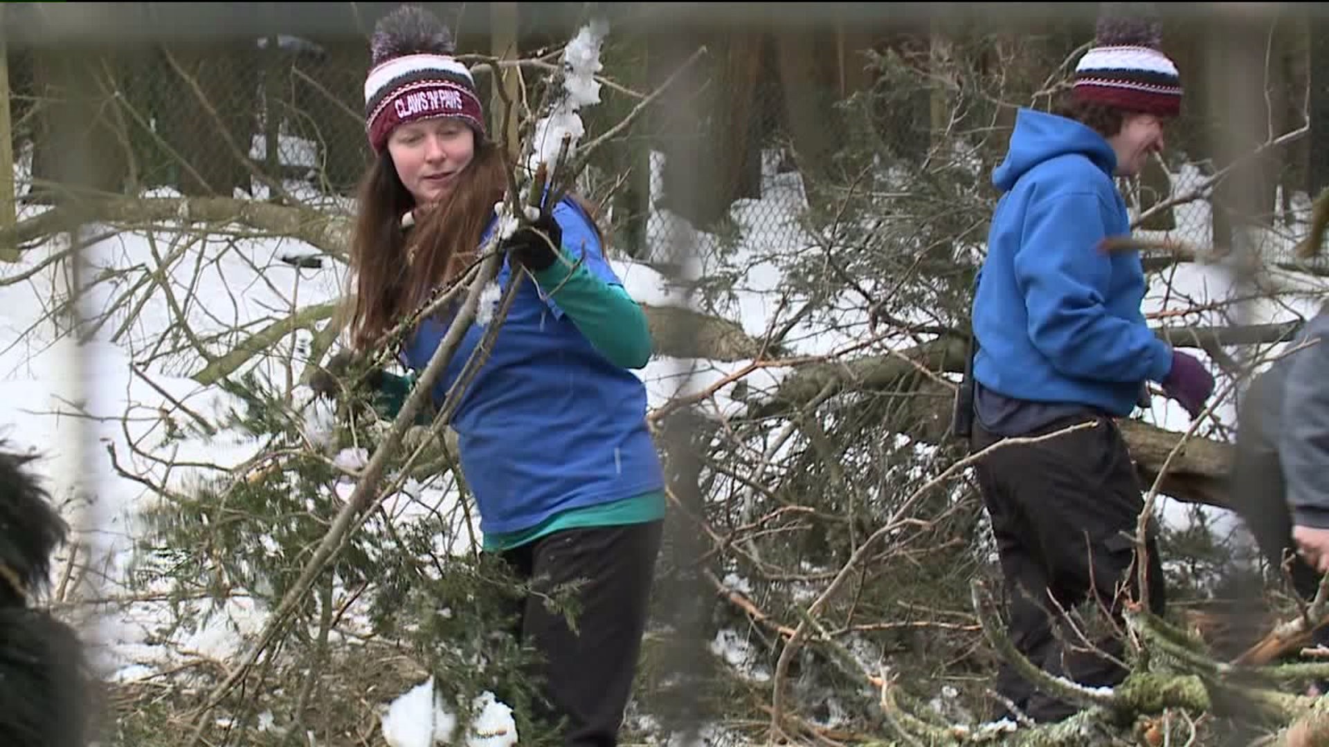 Wild Weather Forces Claws 'N' Paws Cleanup
