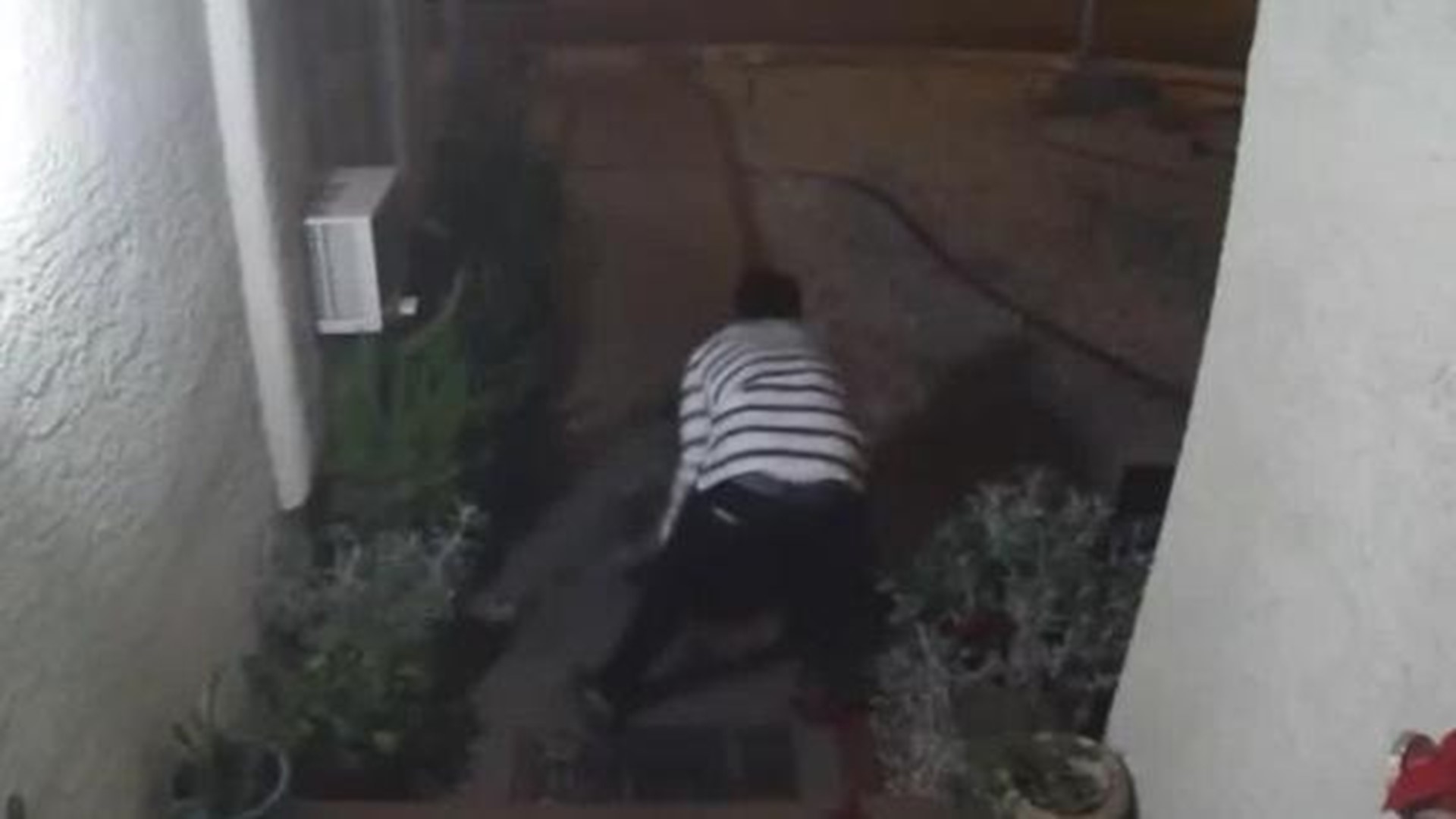 Woman’s Kidnapping Captured on Home Surveillance Camera in Las Vegas ...