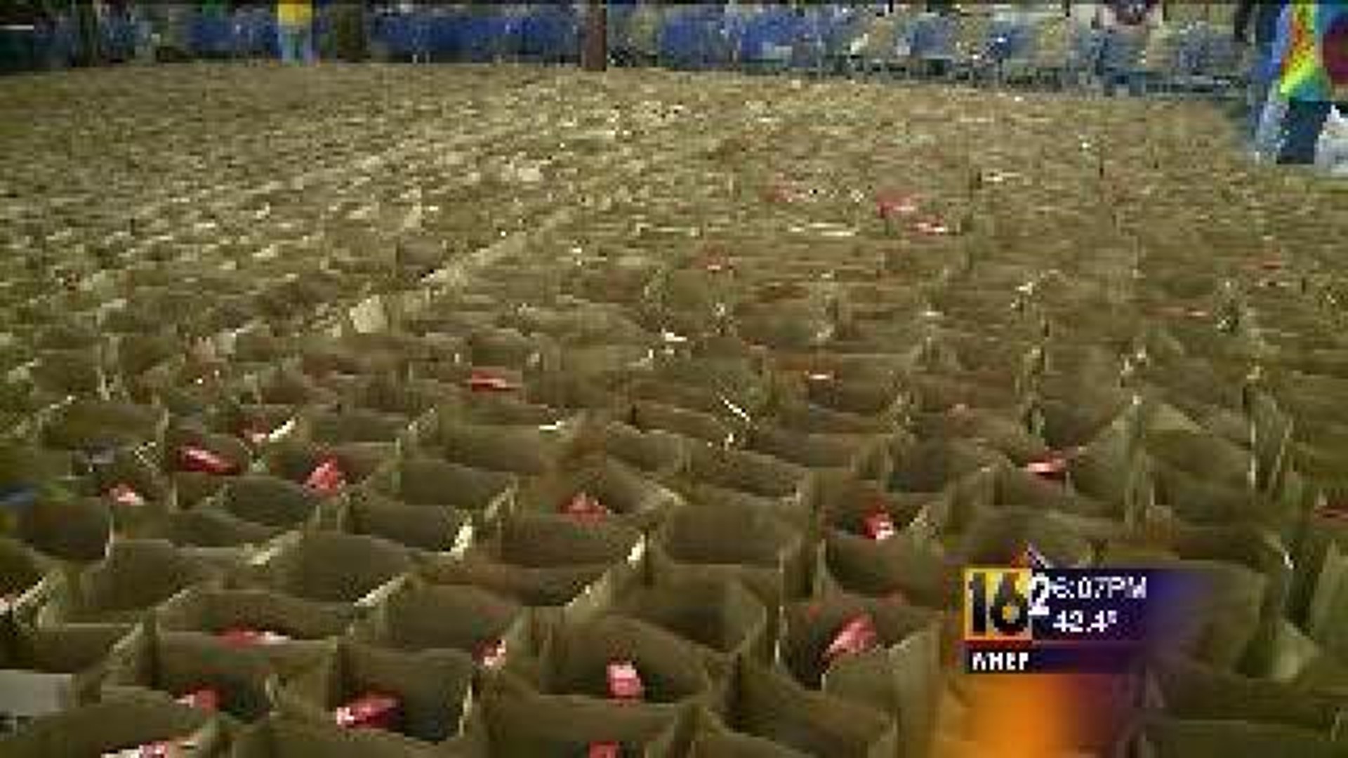 Thanksgiving Food Distribution Helps Thousands