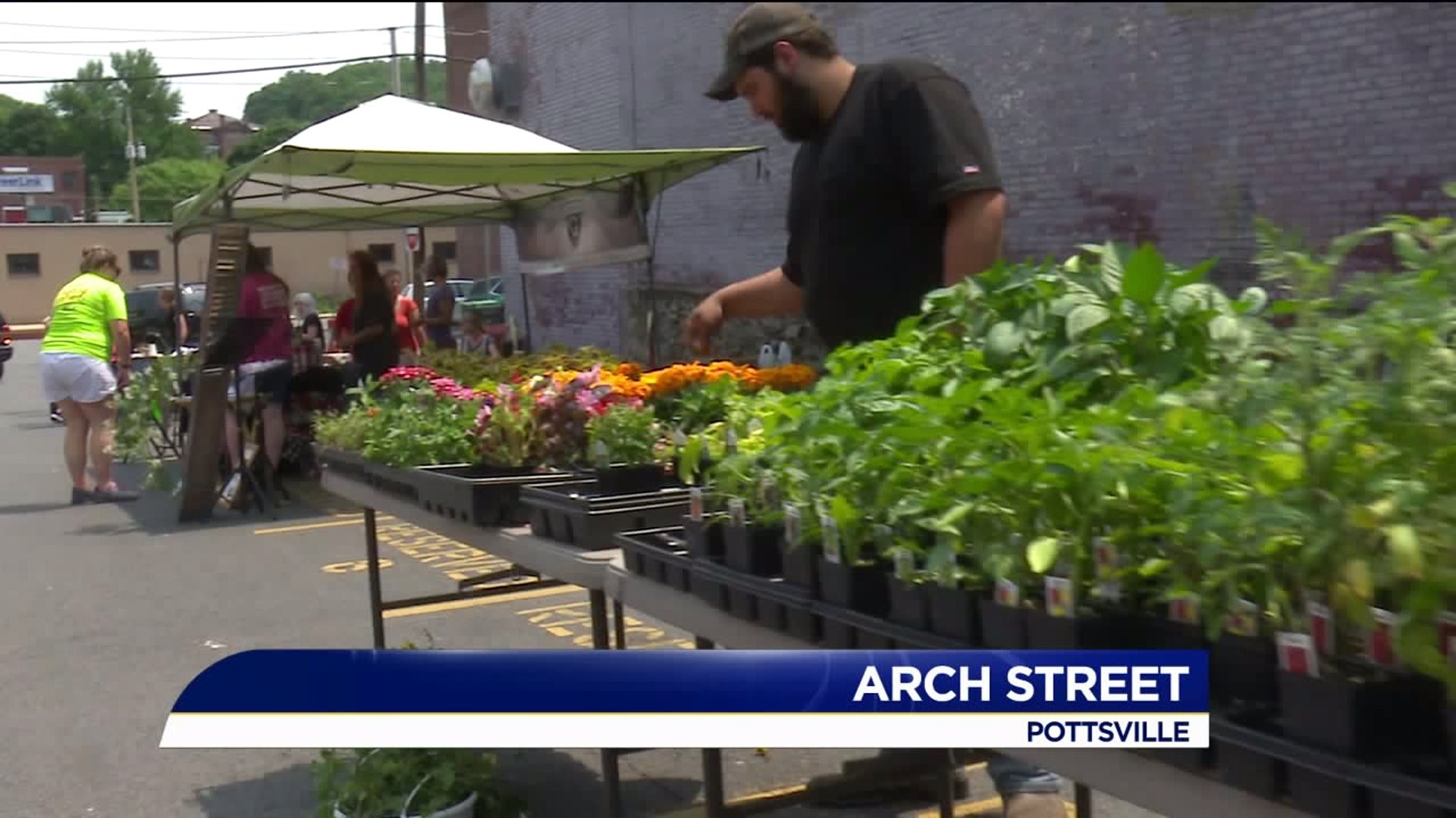Pottsville Welcomes Back Farmers Market