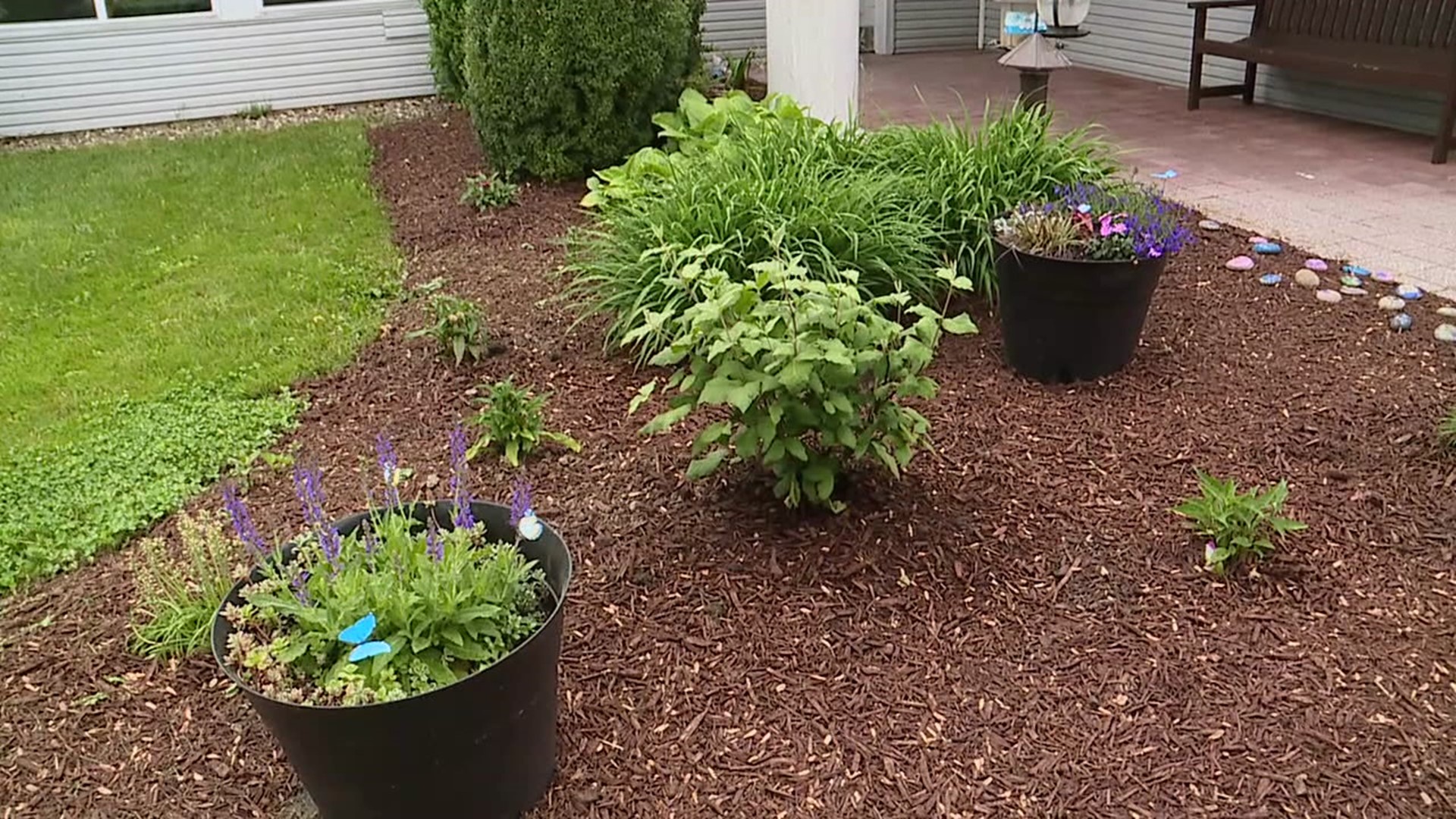 The Valley View Rehab and Nursing Center planted a garden to memorialize residents who lost their lives during the COVID-19 lockdown.