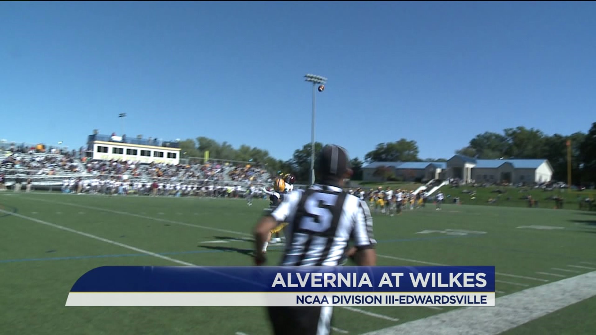 Wilkes Defeats Alvernia 45-12 And Improves To (4-0)