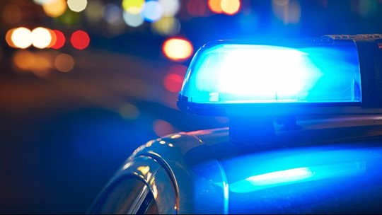 Police investigate dogs dumped in Schuylkill County | wnep.com