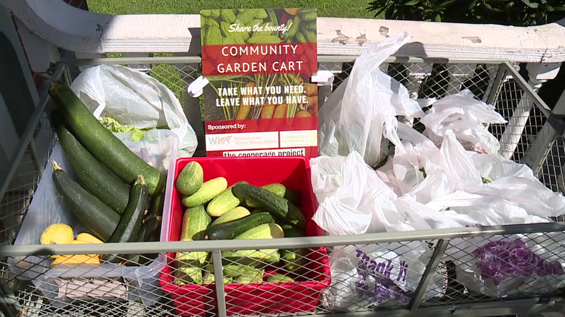 Outside of all Wayne County libraries carts are placed for surplus fruits and vegetables donated from gardens or farms