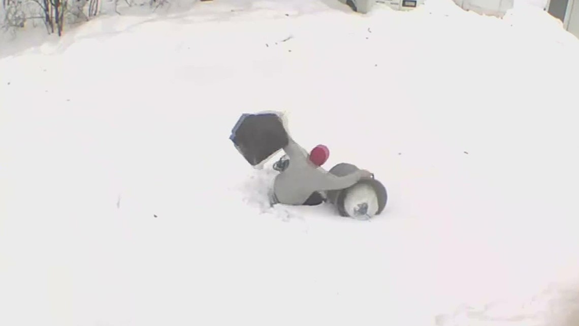 Winter wipeouts caught on camera - Vimarsana News