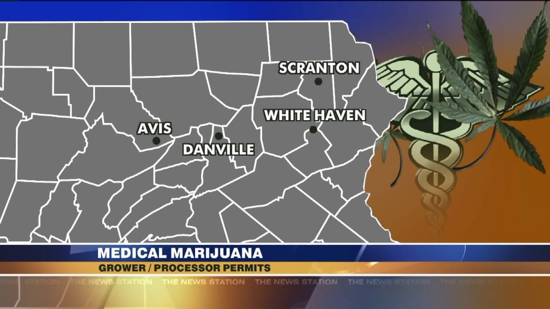 State Announces Four Medical Marijuana Permits in Our Area