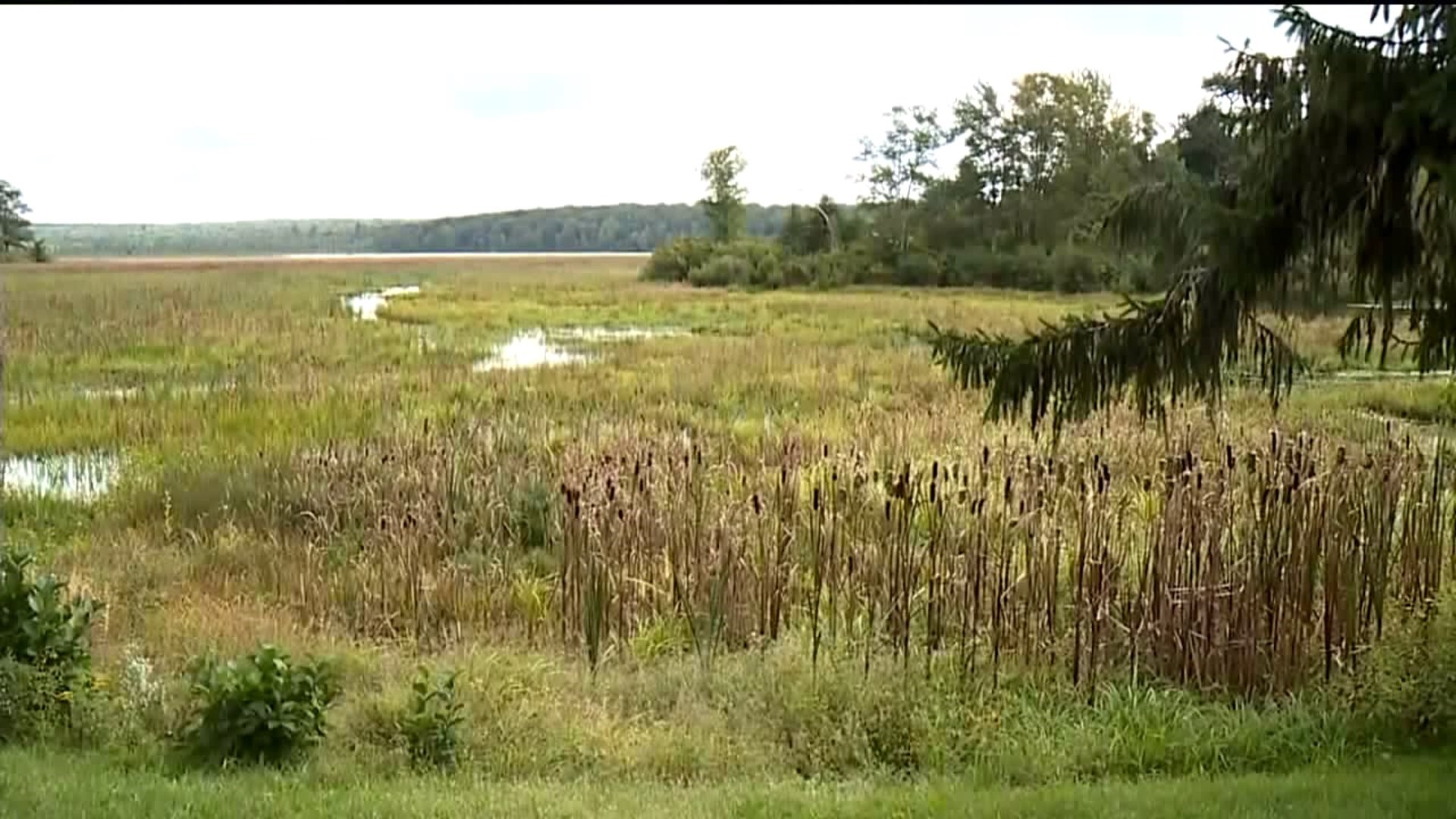 Peck`s Pond Restoration Project to Begin Next Year