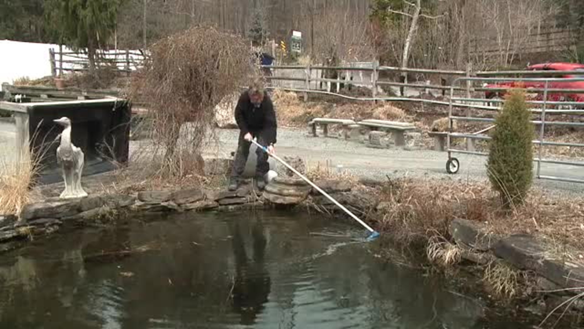 Paul's Pond Cleaning TIP