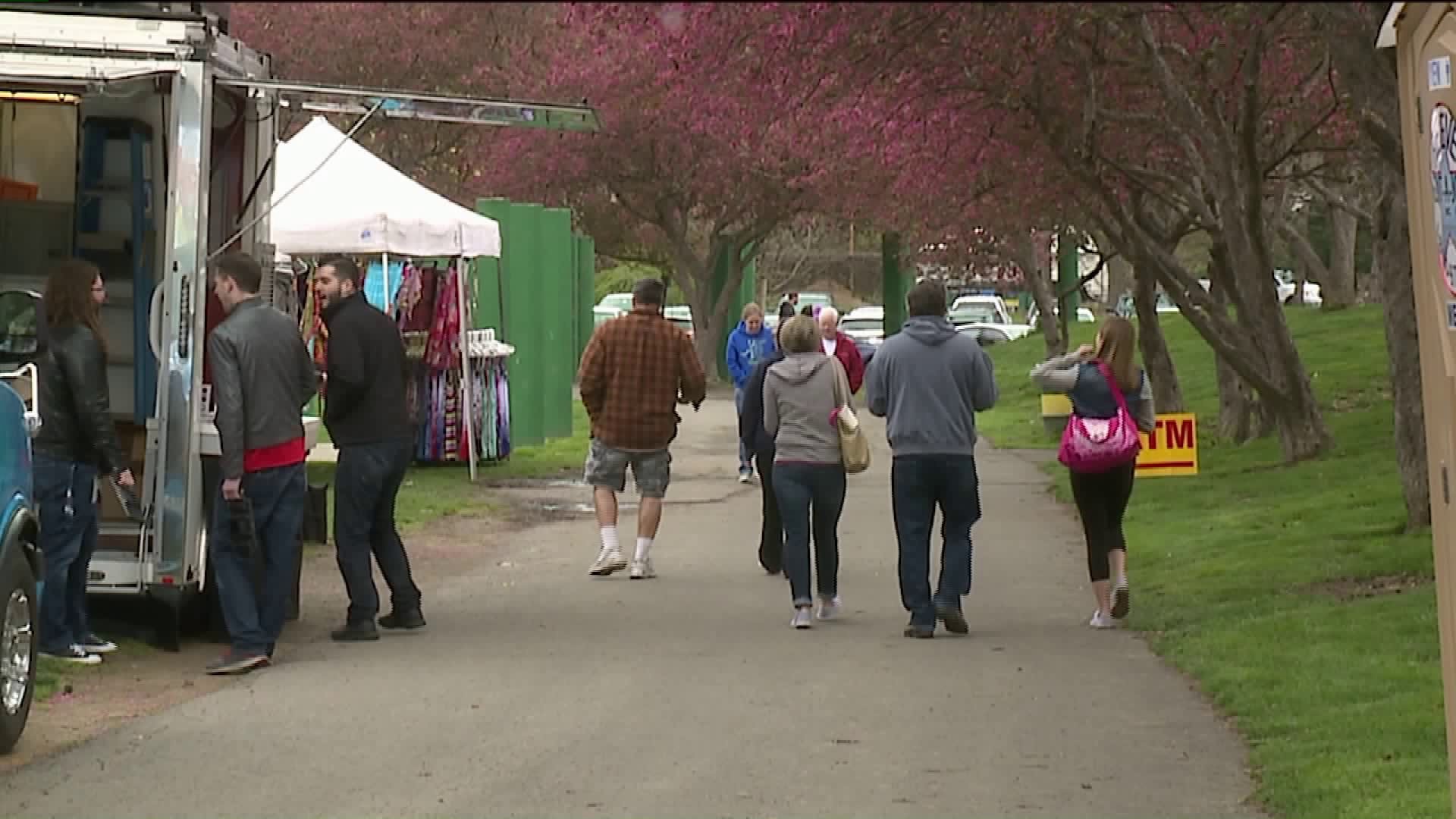 40th Year for Cherry Blossom Festival in WilkesBarre