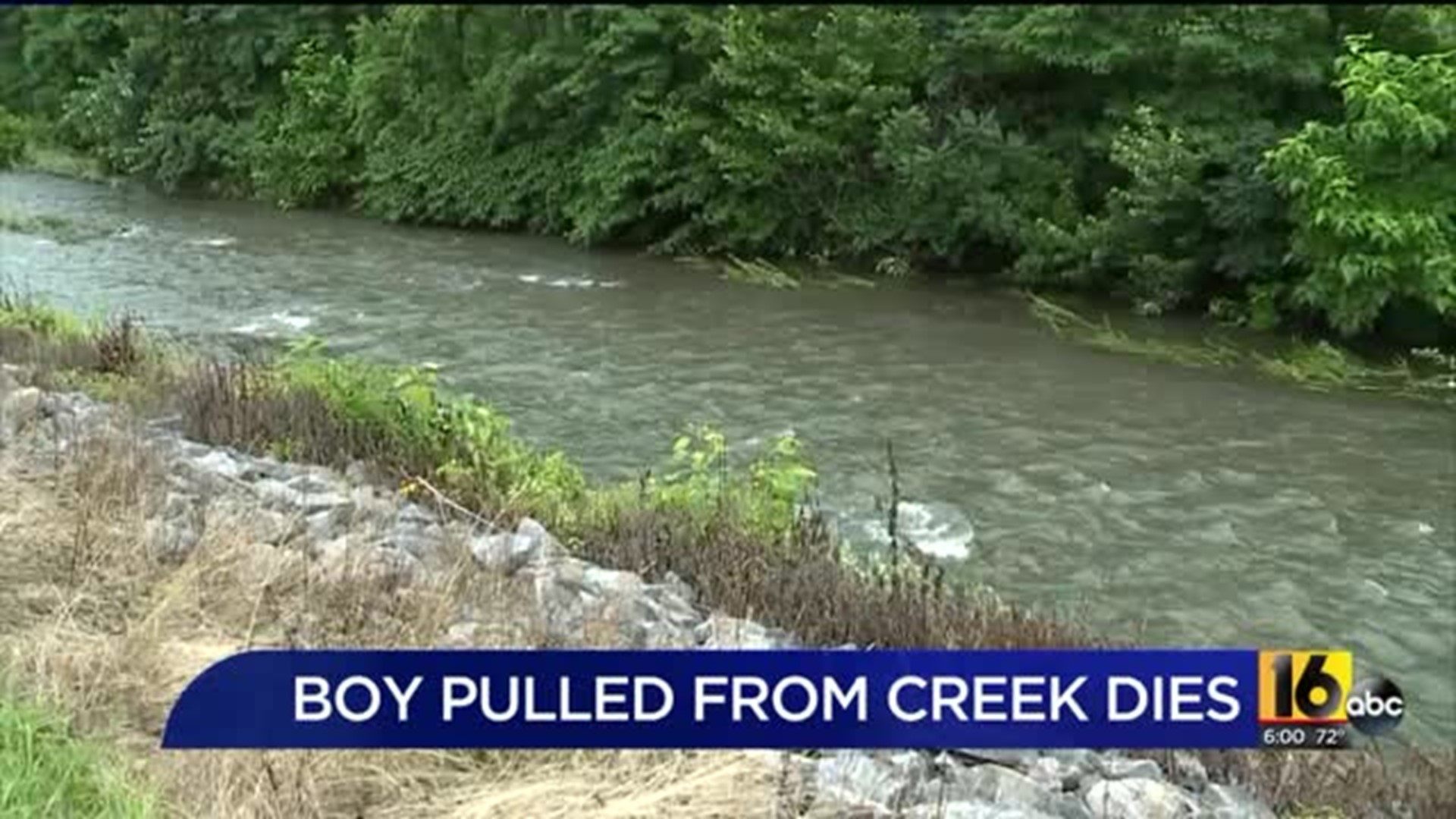Young Boy Dies After Slipping and Falling Into Creek