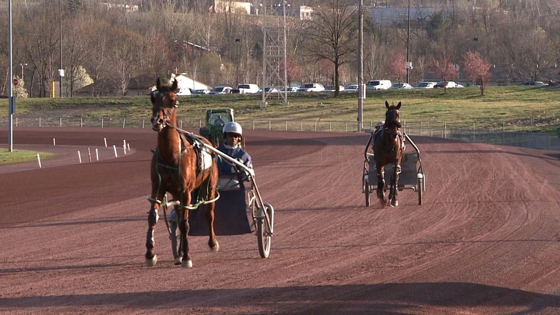 Racing Officials Performance Enhancing Drugs Found in Harness Racing