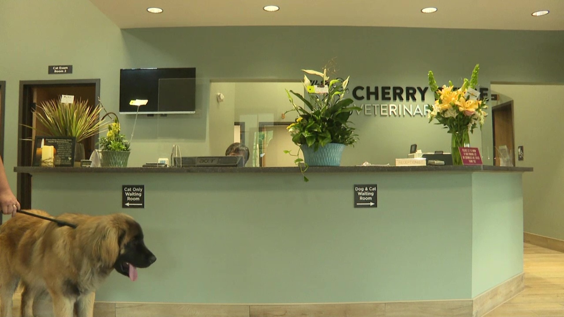 New location of veterinary clinic in Wayne County open for business |  