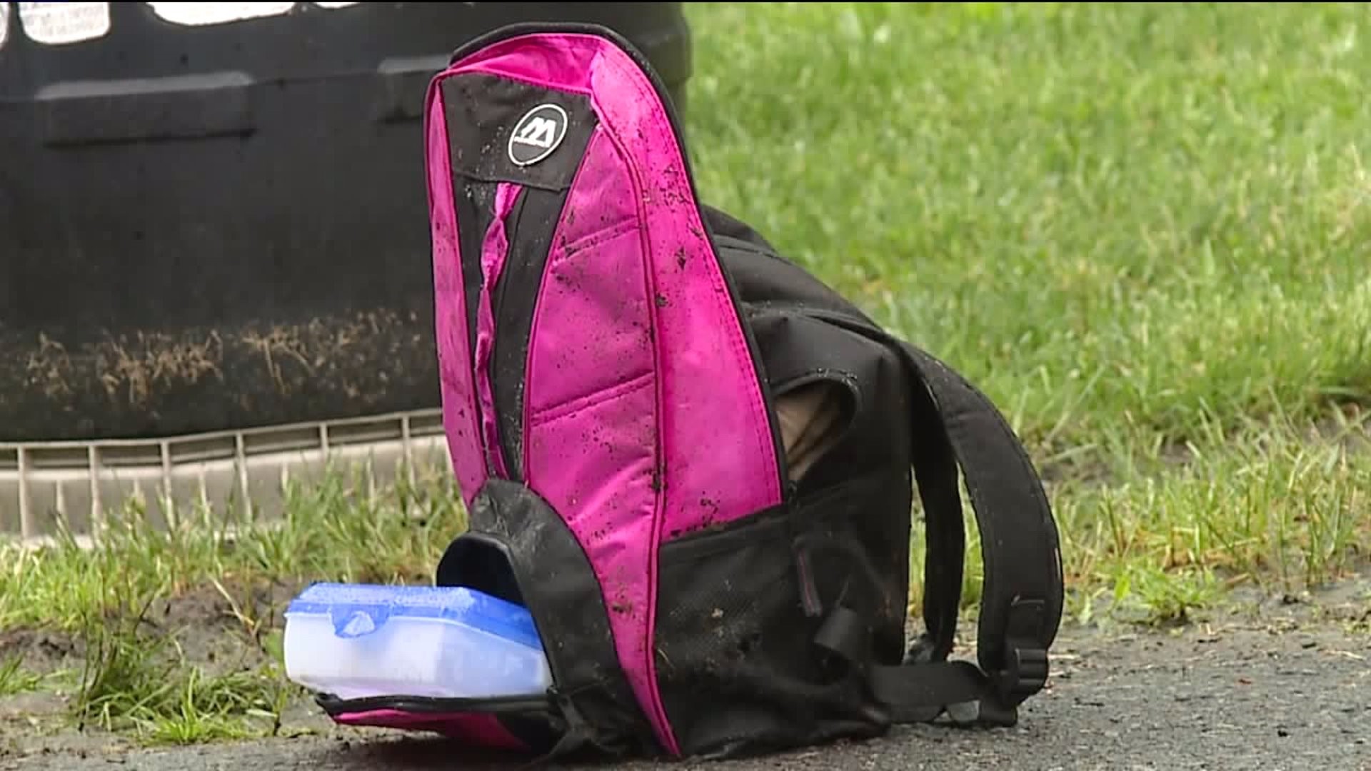 Dead Dog Found in Backpack