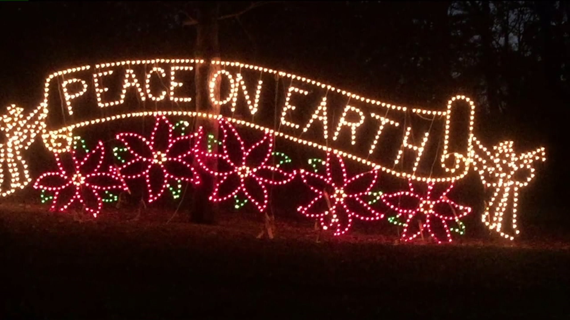 Nay Aug Park Turns Into a Winter Wonderland With Annual Holiday Light Show