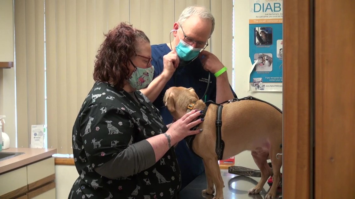 Getting appointments at busy veterinarian offices during pandemic