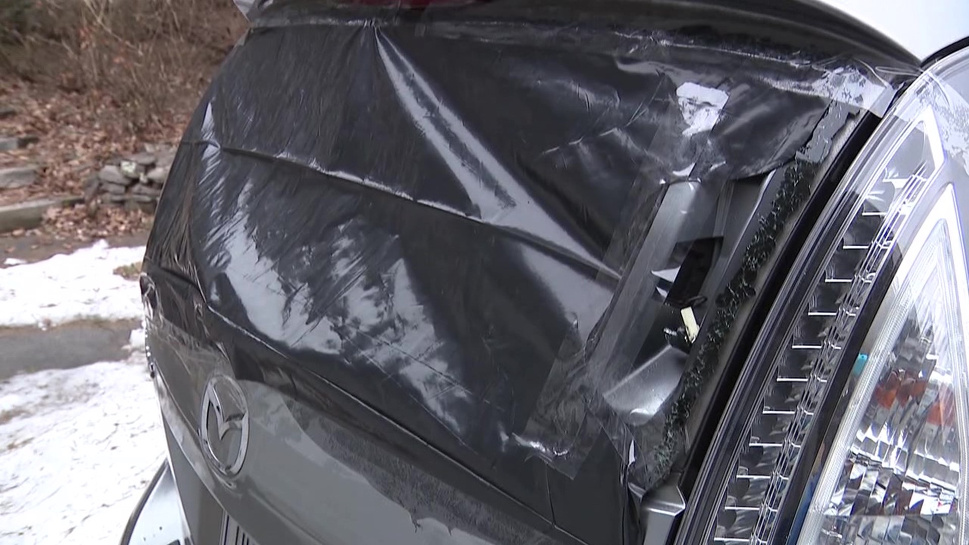 Car and home windows damaged by BB gun pellets