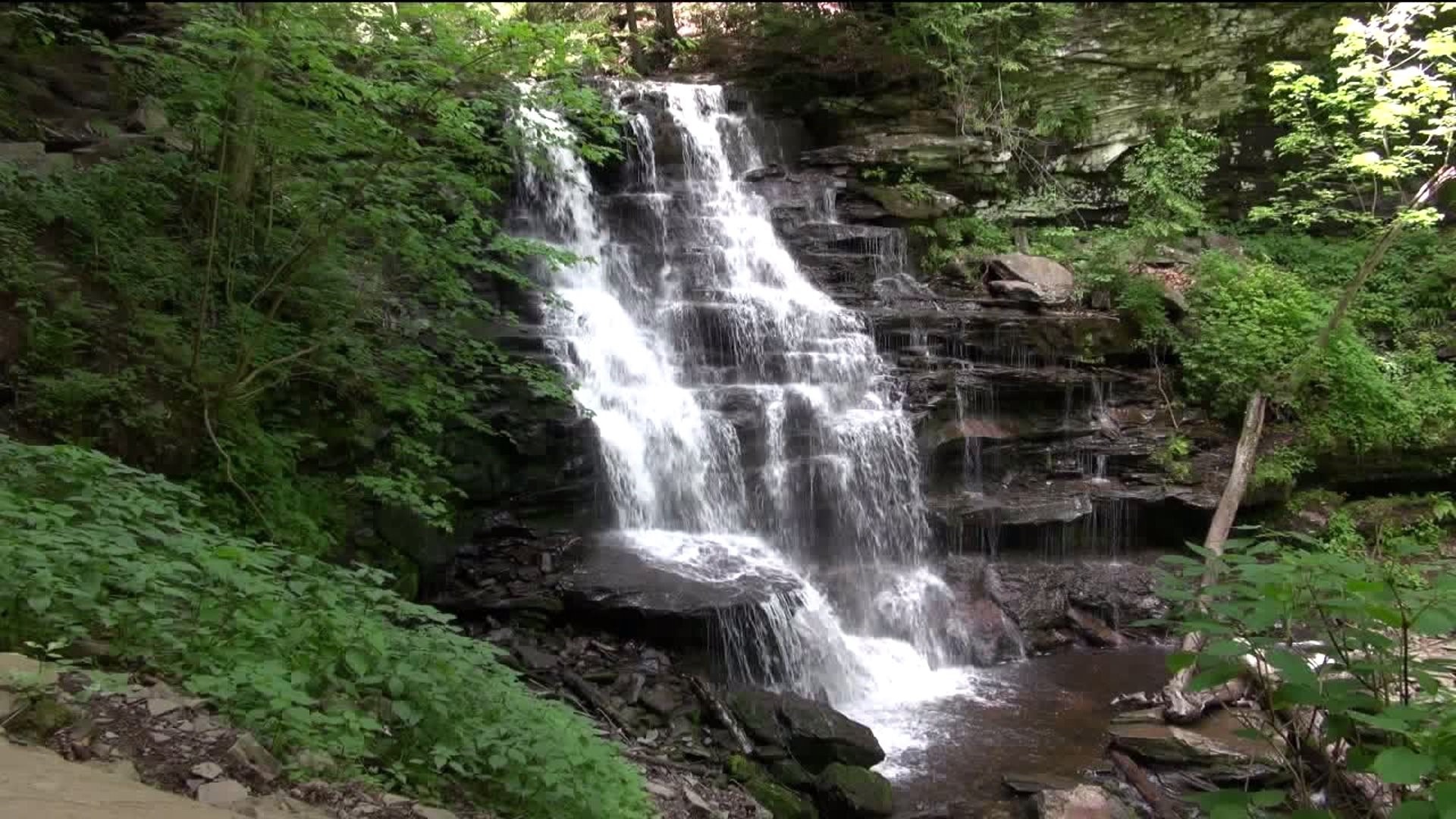 Ricketts Glen State Park Getting Larger