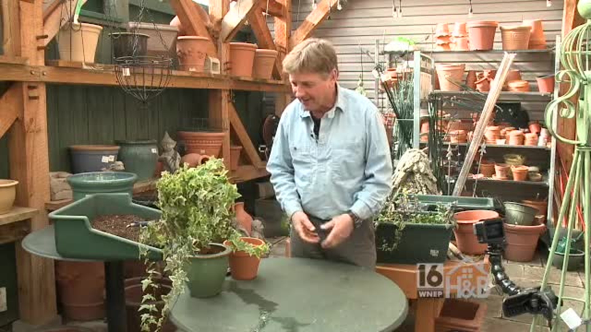 Paul Epsom - Free Plants From Clippings