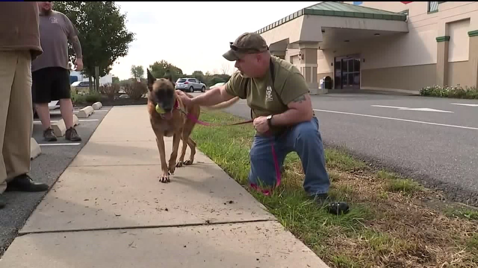 Military Dog Reunited With Handler After Seven Years Apart