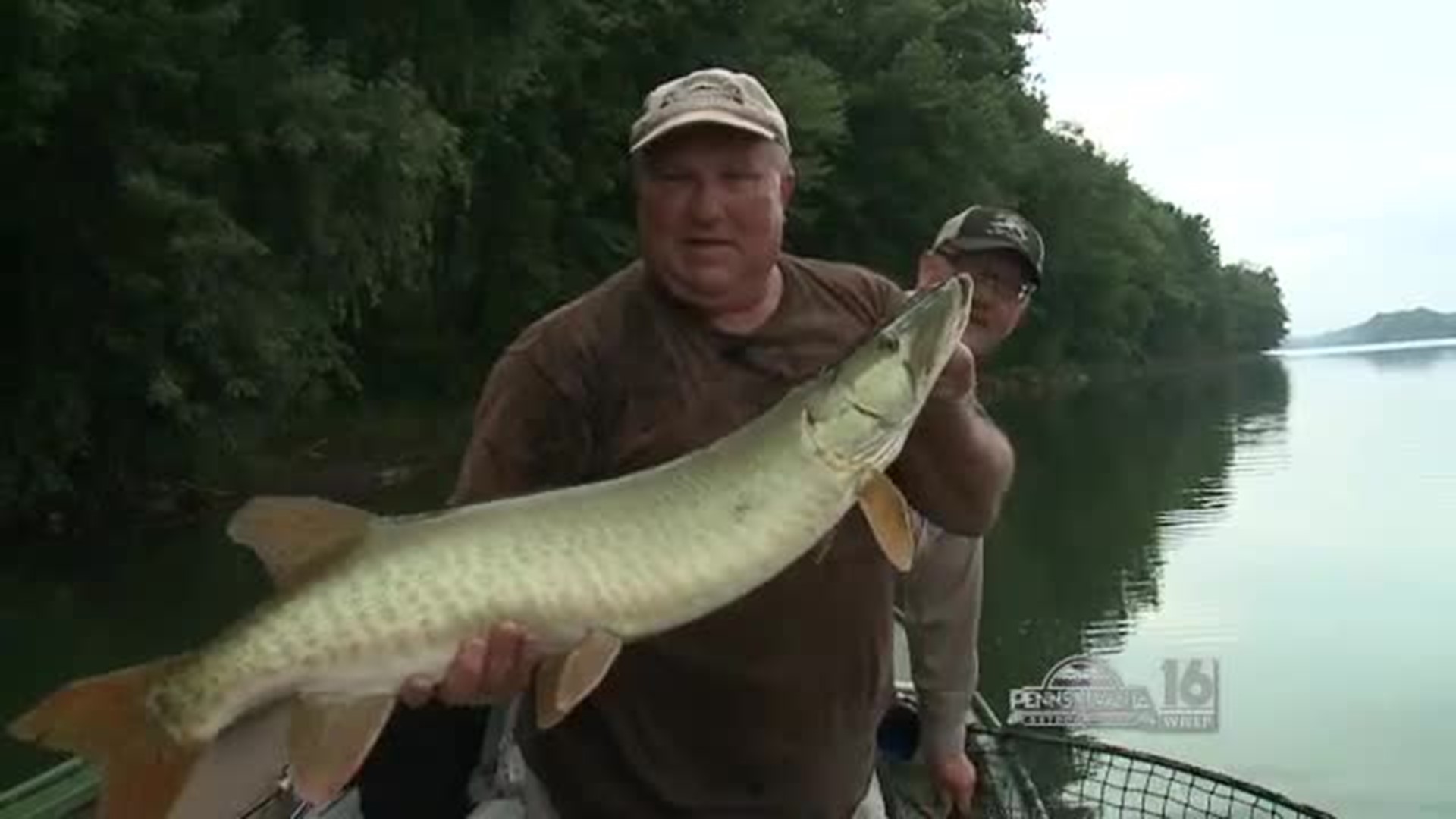 Hooked up with a Muskie on the Suskie