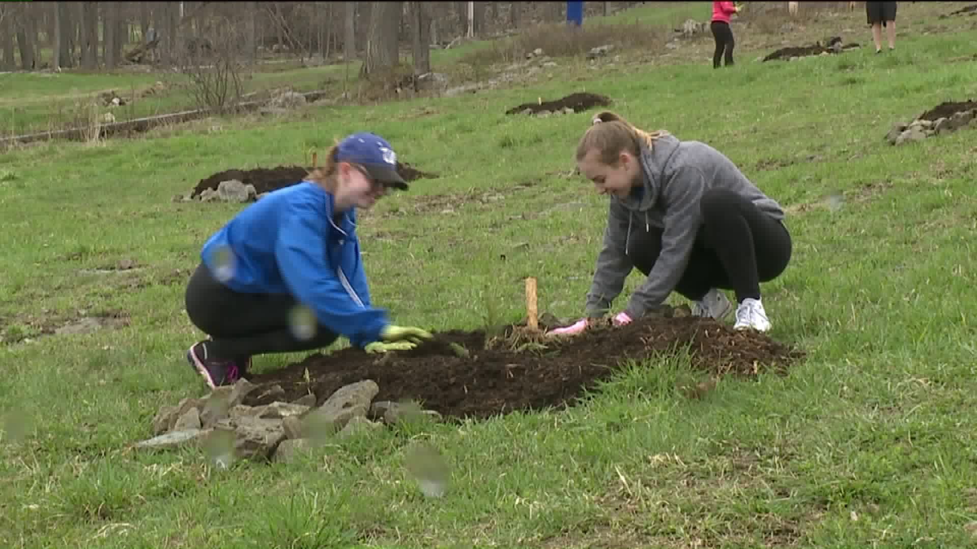 Volunteers Celebrate Earth Day by Planting Trees on Ski Slope