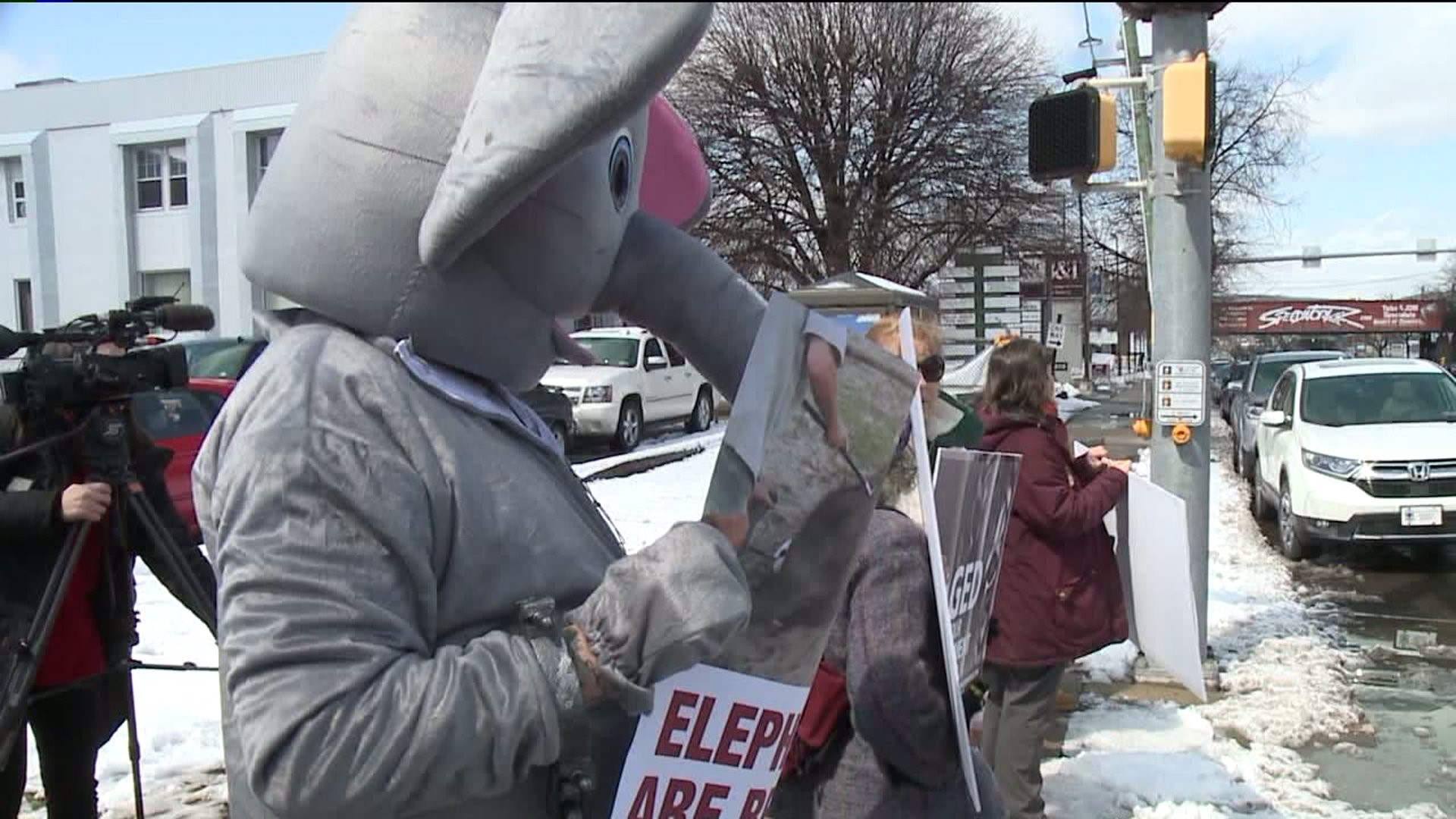 Protesters Greet Circus Spectators in Luzerne County
