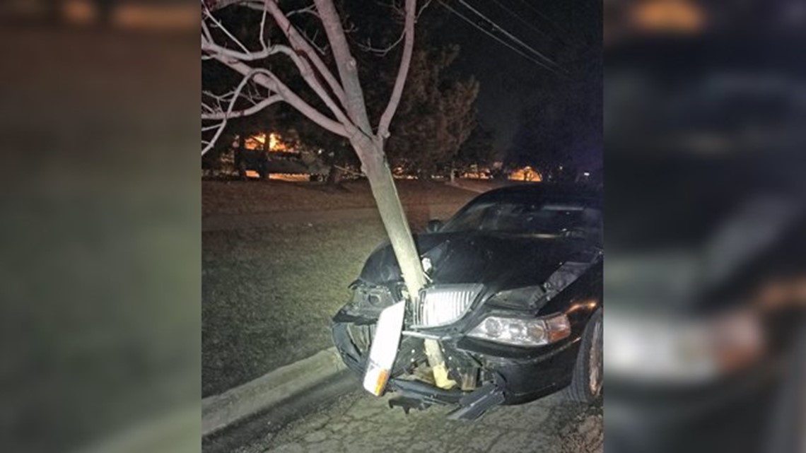 Woman Arrested for DUI After Driving With 15-Foot Tree Stuck in Grille ...