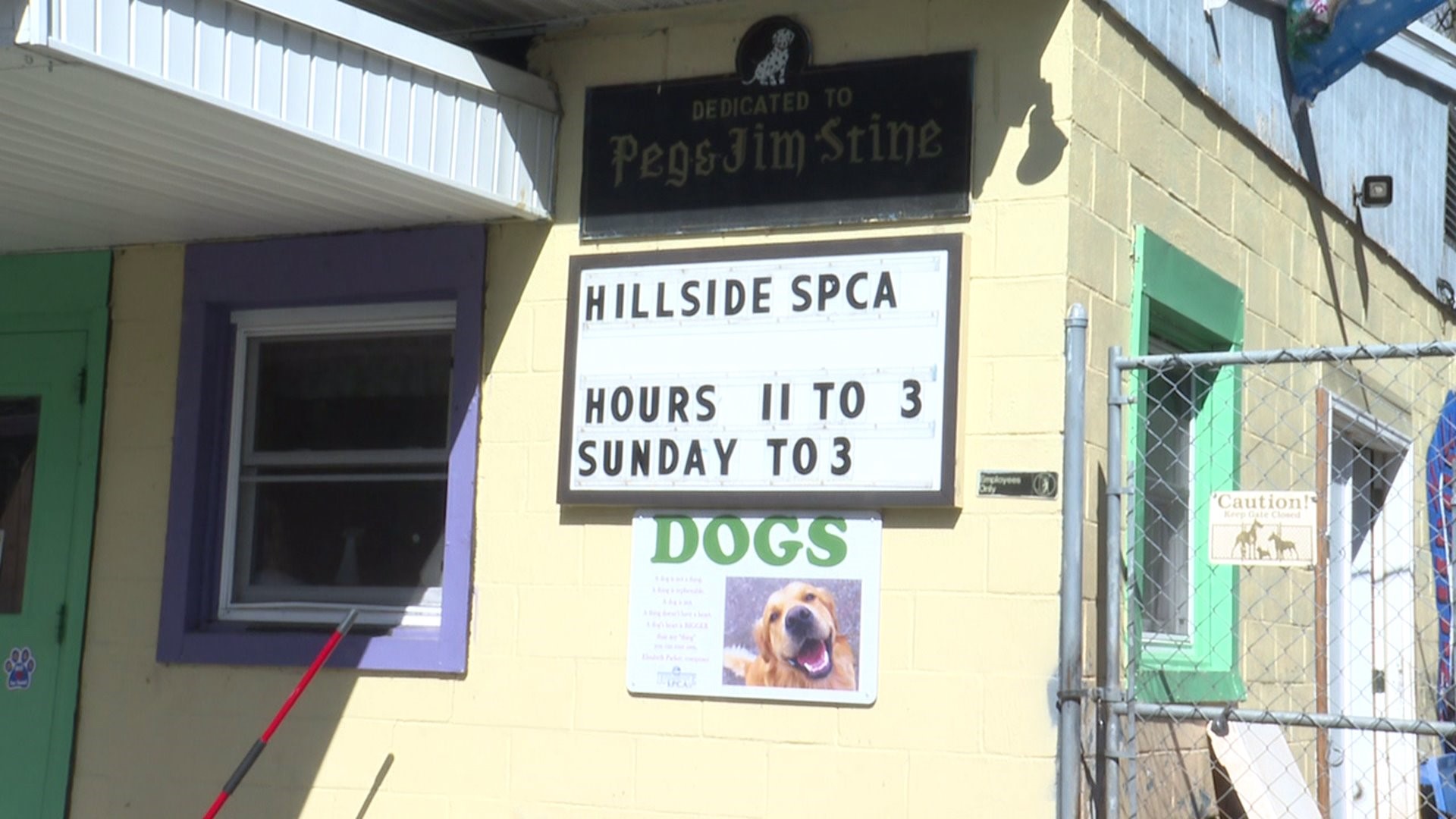 An animal shelter in Schuylkill County is responding to criticism that they mistreat animals. Employees say the accusations are unjustified and cruel.