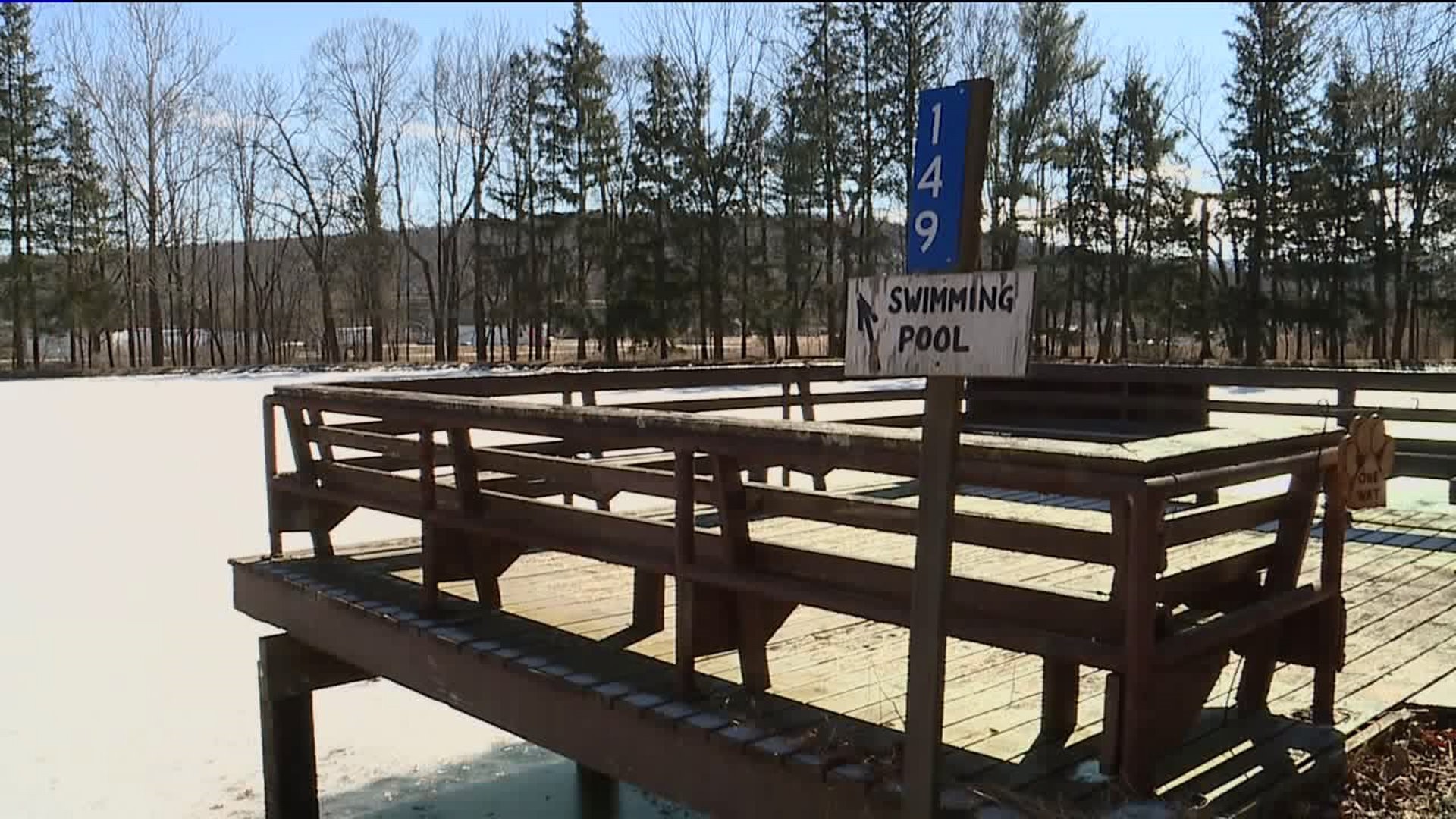 Animal Shelter in the Poconos Hoping for Big Turnout for Annual Polar Plunge