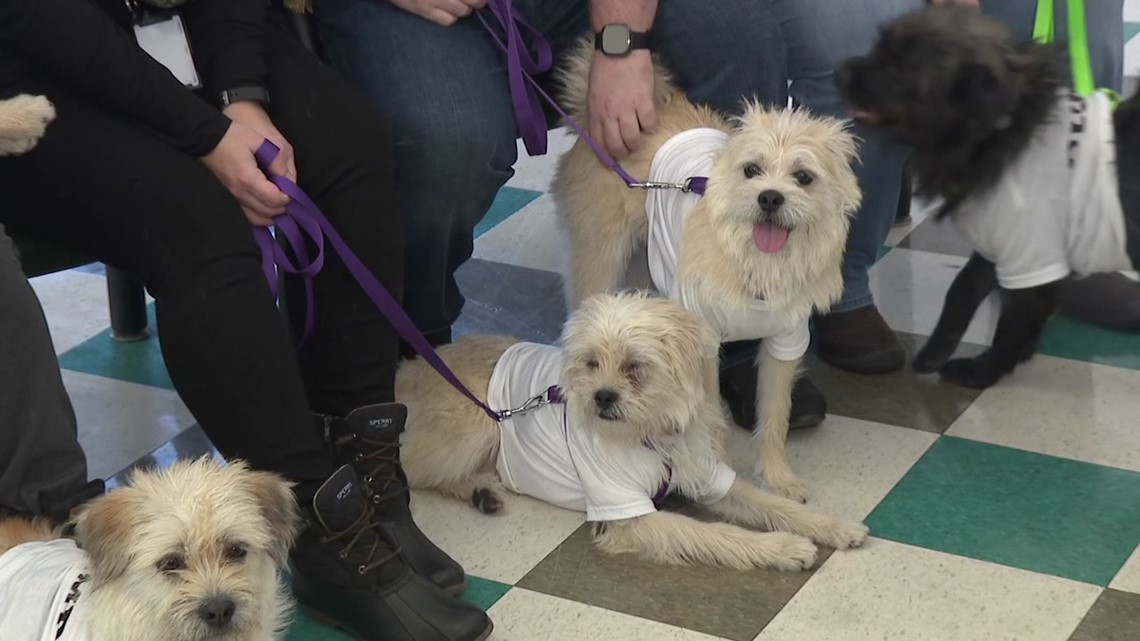 Prison pups well trained with FIDOS Program - Vimarsana News