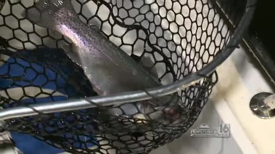 Lake Winola Trout Fishing