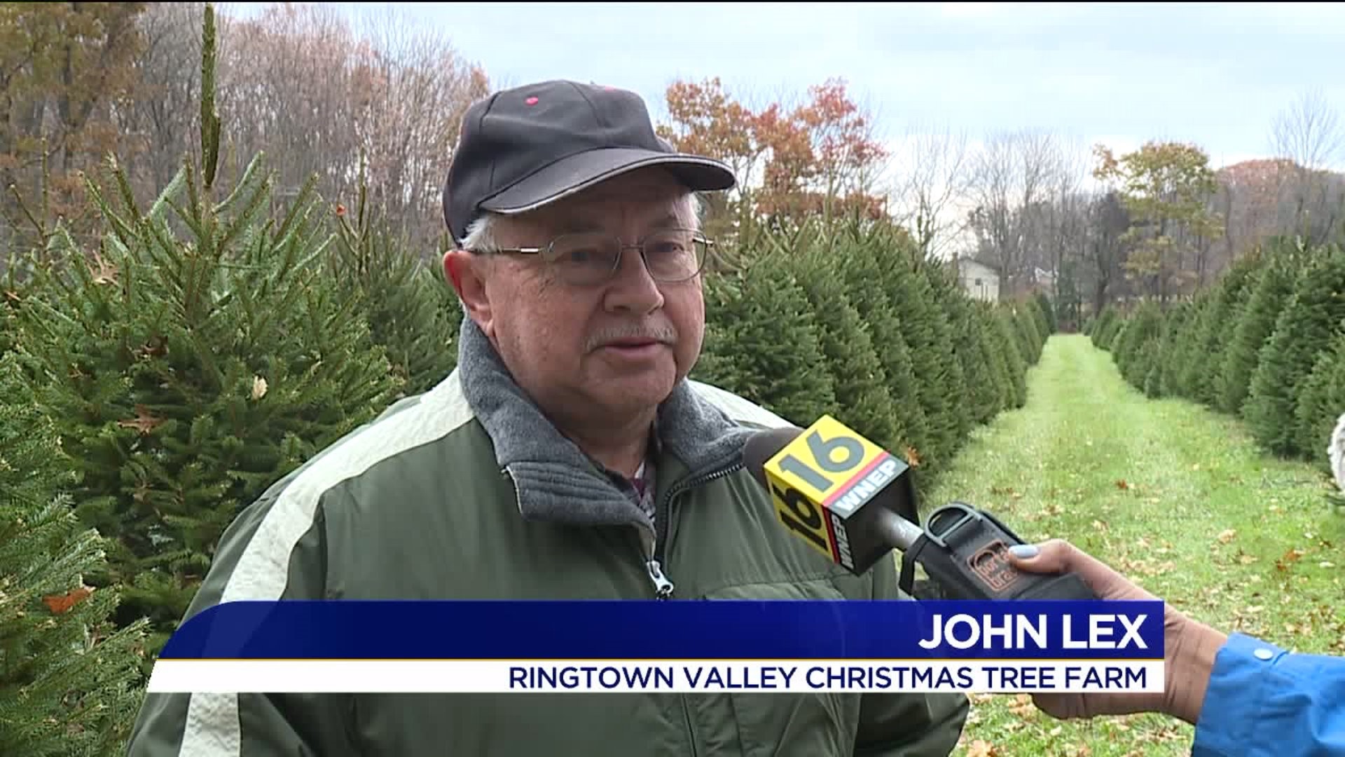 Local Christmas Tree Farms Prepare for Busy Season