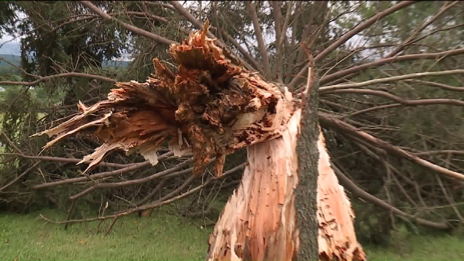 Residents in Lackawanna County Assessing Storm Damage