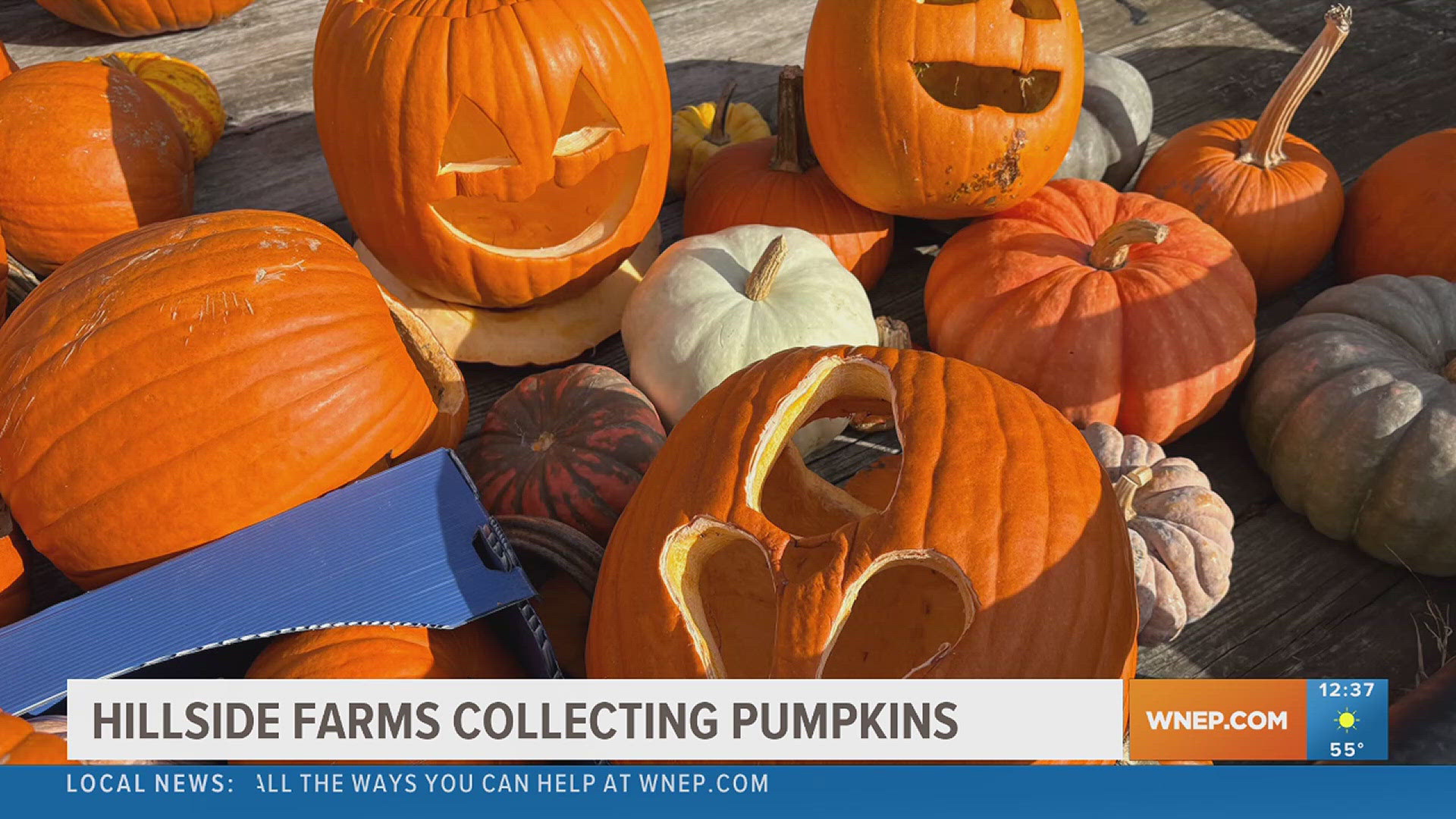 Oh my gourd! The Lands at Hillside Farms accepting pumpkin